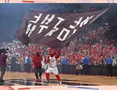 PG Soft Gaming-猛龙豪取胜利，继续稳居东部第一的简单介绍