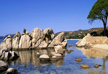 PG电子试玩-双城记，霍勒迪亚平宁封神夜，吉林冰城斩落广厦虎